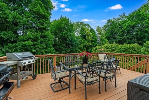 22 Green Apple Road Sparta NJ 07871