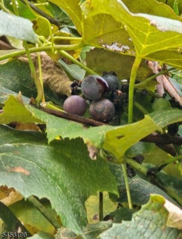 27 River Road Byram NJ 07874