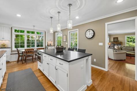 9 Overlook Terrace Millburn NJ 07078