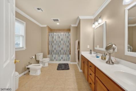 1109 Overlook Terrace Union NJ 07083