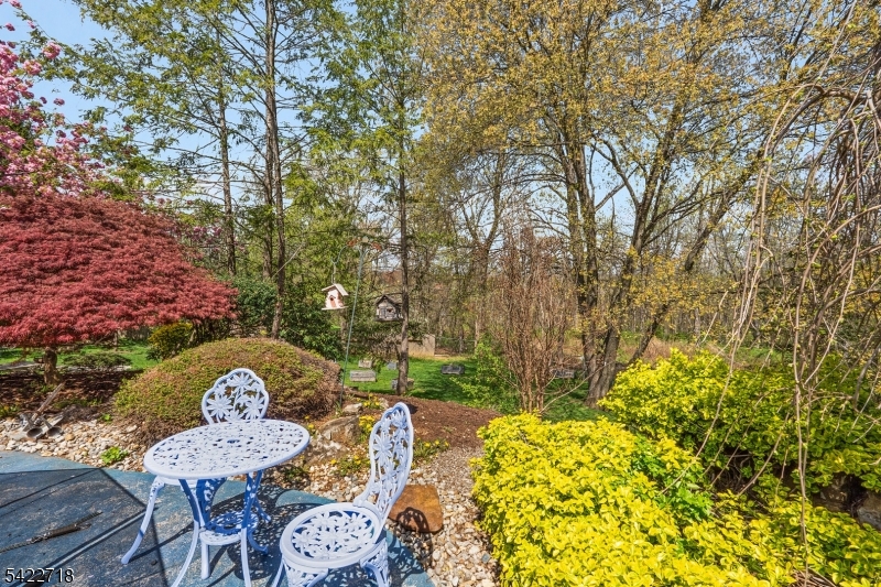 4 Chadwick Court Denville NJ 07834