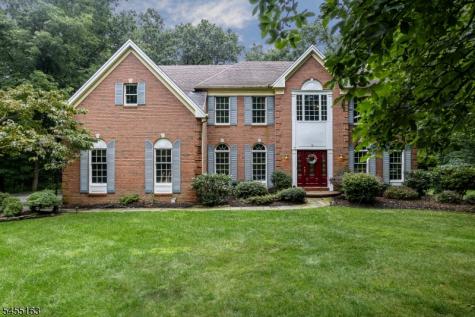 10 Ashley Drive Mount Olive NJ 07836