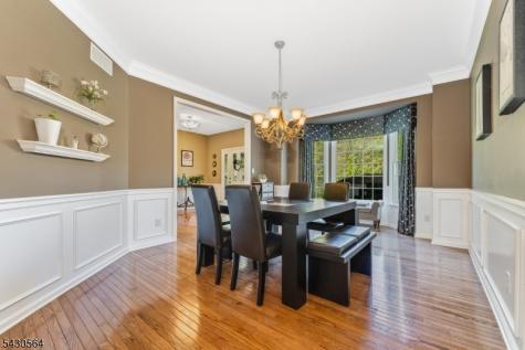 9 Hawk Drive Raritan NJ 08551