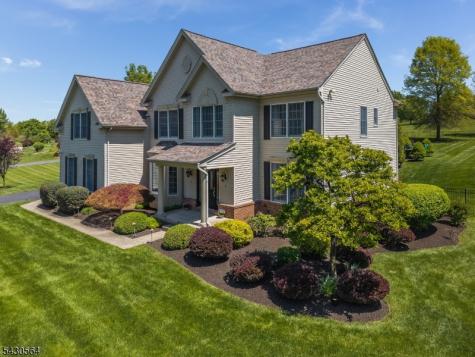 9 Hawk Drive Raritan NJ 08551