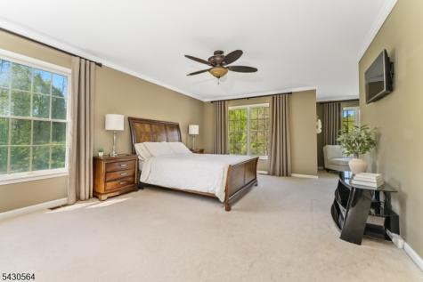 9 Hawk Drive Raritan NJ 08551