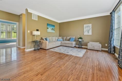 9 Hawk Drive Raritan NJ 08551