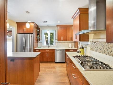 63 Sun Valley Way Morris Plains NJ 07950