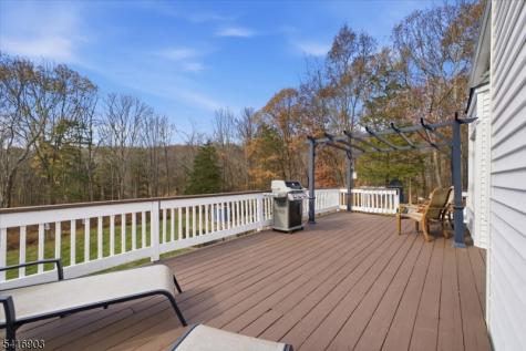 15 Ike Williams Road Hampton NJ 07860