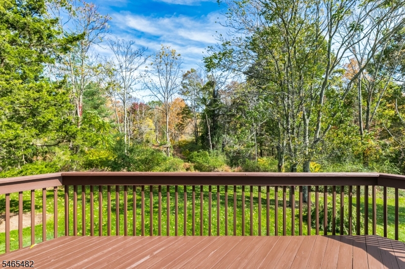 46 Governor Drive Bernards NJ 07920