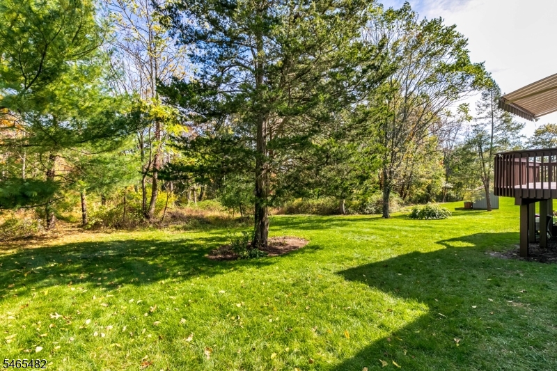 46 Governor Drive Bernards NJ 07920