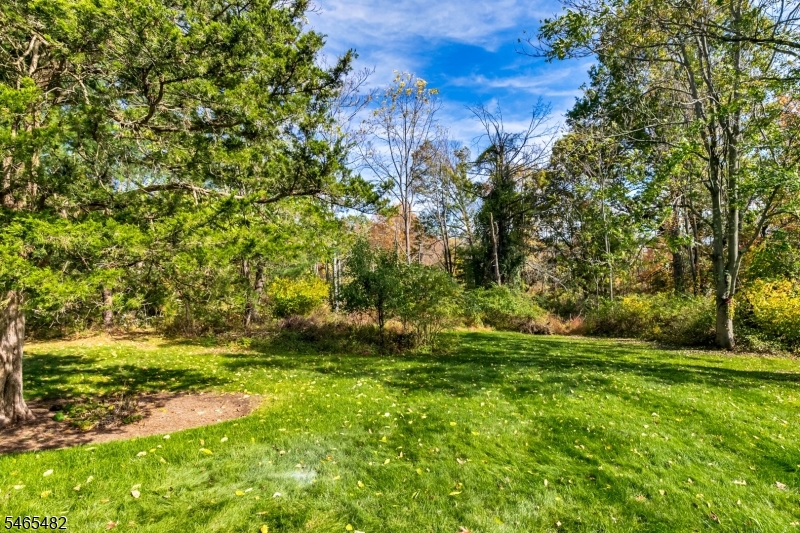 46 Governor Drive Bernards NJ 07920