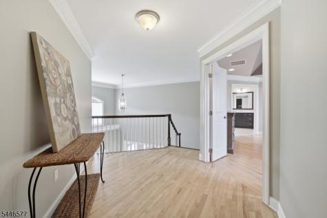 20 Ruggiero Way Mount Olive NJ 07828
