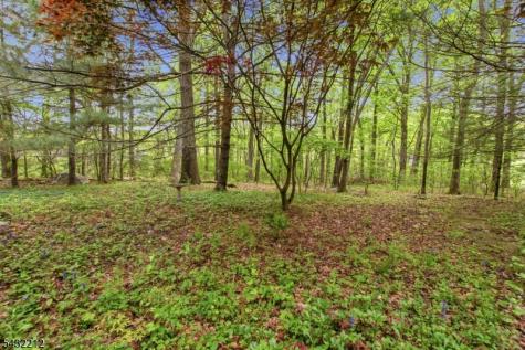 43 Maple Road West Milford NJ 07480