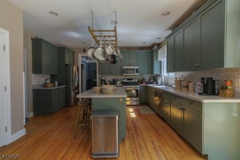 11 Donna Lane Mount Olive NJ 07836