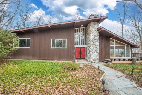 3 Davids Lane Hillsborough NJ 08844