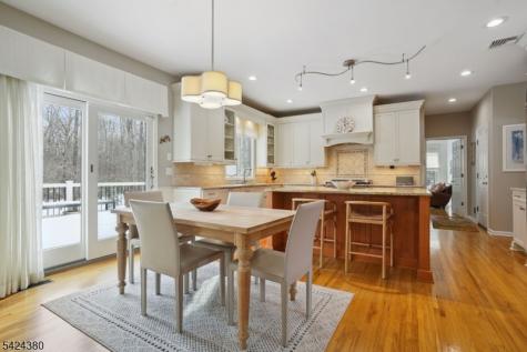 13 Obrien Court Bedminster NJ 07921