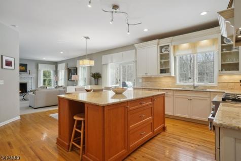 13 Obrien Court Bedminster NJ 07921