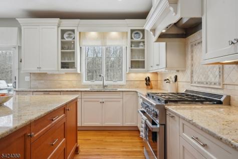 13 Obrien Court Bedminster NJ 07921