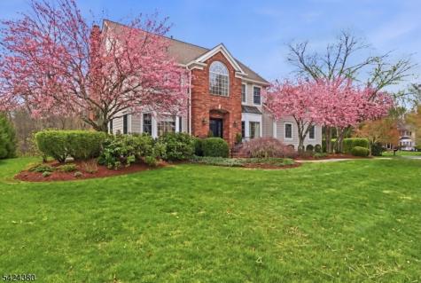 13 Obrien Court Bedminster NJ 07921