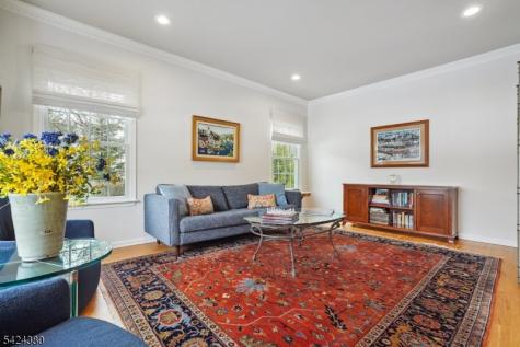 13 Obrien Court Bedminster NJ 07921