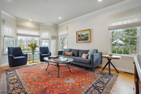 13 Obrien Court Bedminster NJ 07921