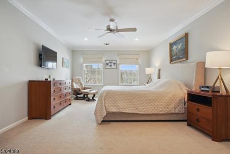 13 Obrien Court Bedminster NJ 07921