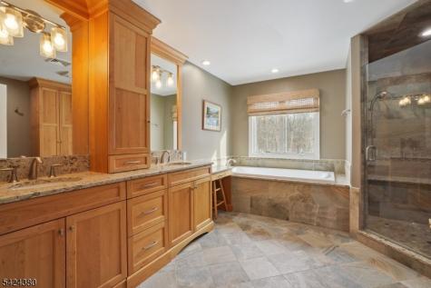 13 Obrien Court Bedminster NJ 07921