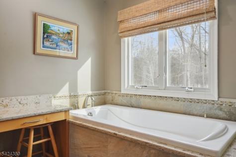 13 Obrien Court Bedminster NJ 07921