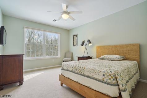 13 Obrien Court Bedminster NJ 07921