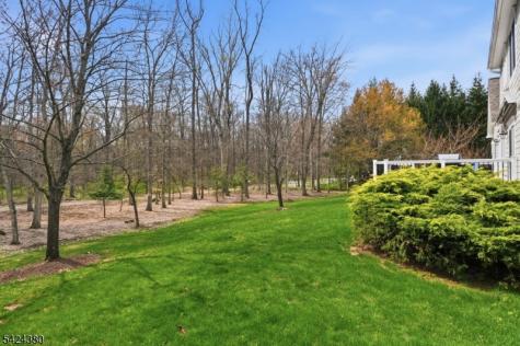 13 Obrien Court Bedminster NJ 07921