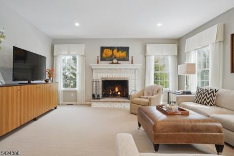 13 Obrien Court Bedminster NJ 07921