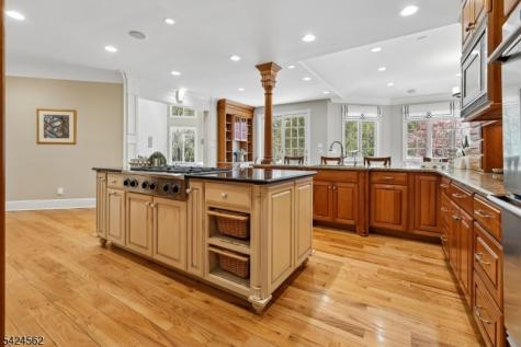 33 Saddlewood Court Montgomery NJ 08502