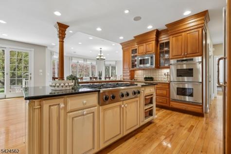 33 Saddlewood Court Montgomery NJ 08502
