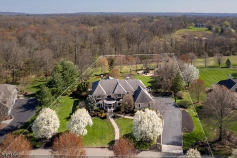 33 Saddlewood Court Montgomery NJ 08502