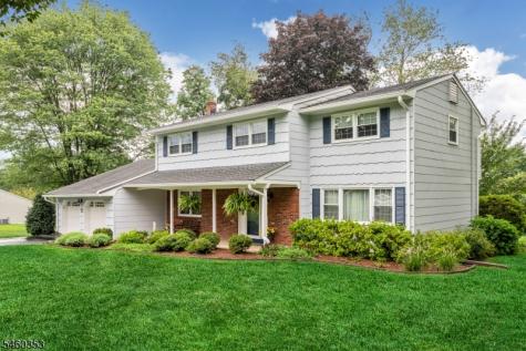 3 Bridle Lane Mount Olive NJ 07828