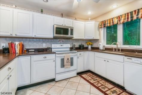 11 Minisink Drive Montague NJ 07827