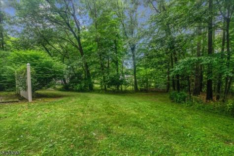 11 Minisink Drive Montague NJ 07827