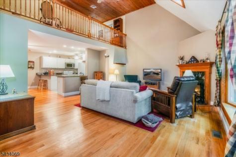 11 Minisink Drive Montague NJ 07827