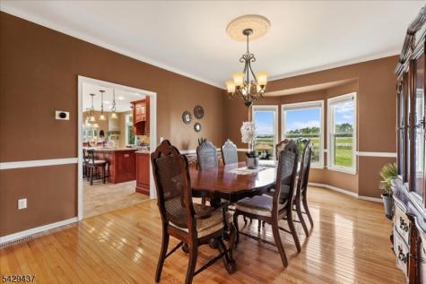 5 Prall Court East Amwell NJ 08551