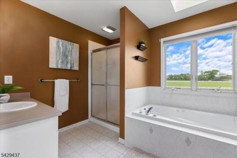 5 Prall Court East Amwell NJ 08551