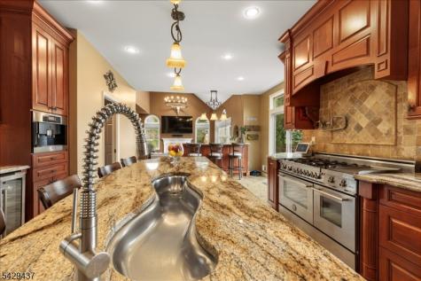 5 Prall Court East Amwell NJ 08551
