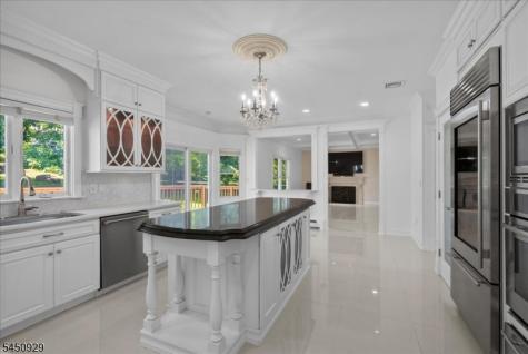 12 Byron Court Parsippany-troy Hills NJ 07054
