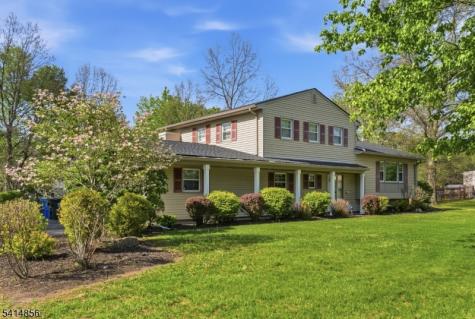 61 Queen Anne Drive Bernards NJ 07920