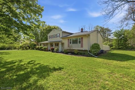 61 Queen Anne Drive Bernards NJ 07920