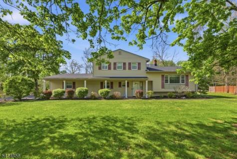 61 Queen Anne Drive Bernards NJ 07920