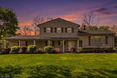 61 Queen Anne Drive Bernards NJ 07920