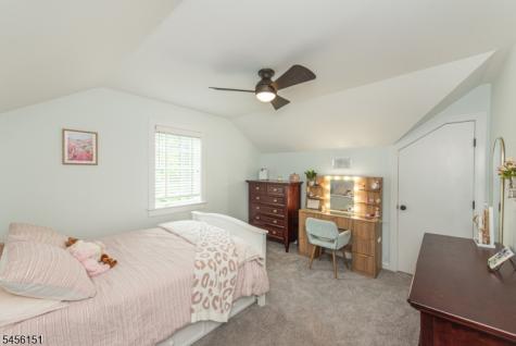 3 Lake Trail W Harding NJ 07960