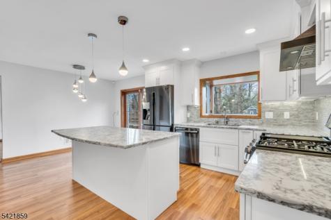 15 Conard Court Hillsborough NJ 08844