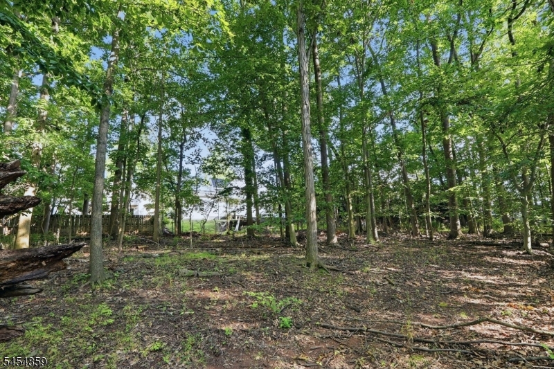 17 Blake Drive Clark NJ 07066