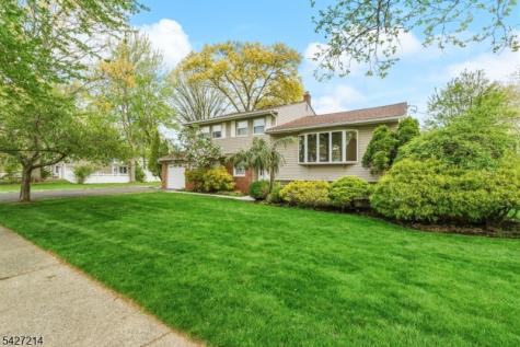 85 Redwood Road Springfield NJ 07081